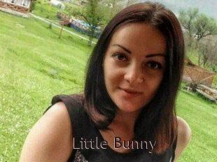 Little_Bunny_