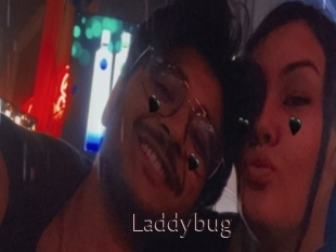 Laddybug