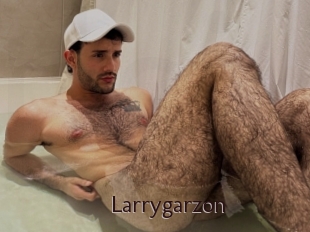 Larrygarzon