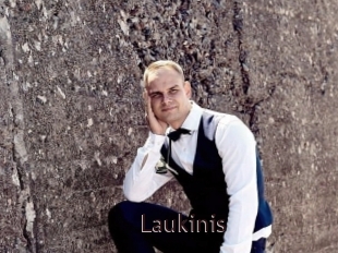 Laukinis