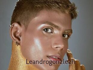 Leandrogonzlezh