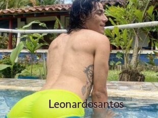 Leonardosantos