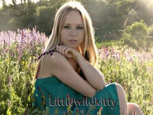 Littlewildkitty