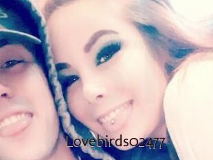 Lovebirds02477