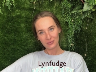 Lynfudge