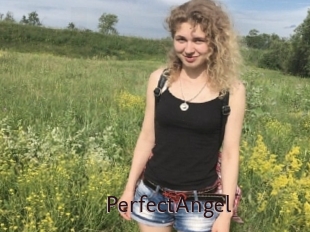 PerfectAngel