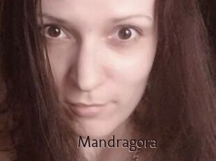 Mandragora