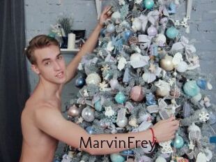 MarvinFrey