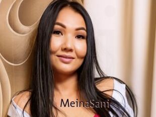 MeinaSani