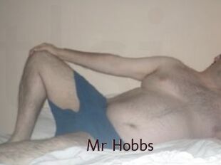 Mr_Hobbs