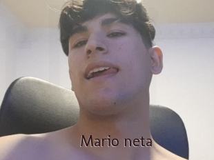 Mario_neta