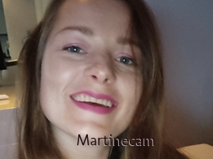 Martinecam