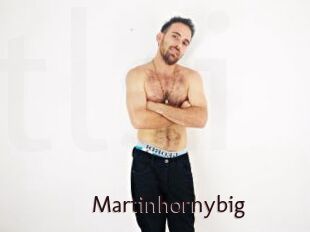 Martinhornybig