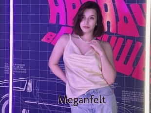 Meganfelt