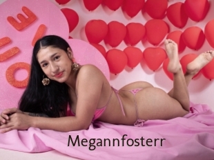 Megannfosterr