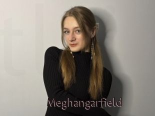 Meghangarfield