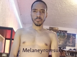 Melaneyrosesub