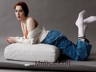 Melisacloud