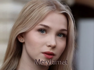 Merylarnet