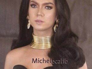Michelecalib