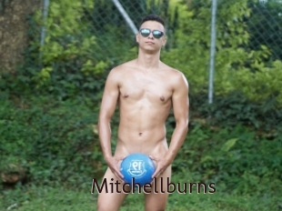 Mitchellburns