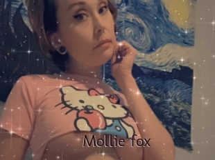 Mollie_fox