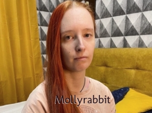 Mollyrabbit