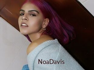 NoaDavis