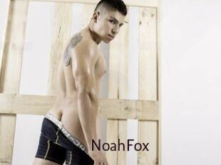 NoahFox