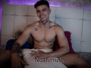 Noahmush