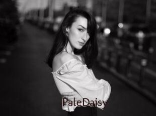PaleDaisy