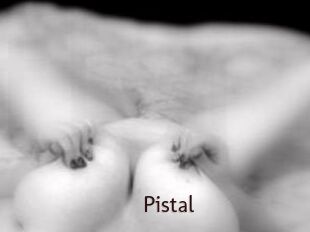 Pistal