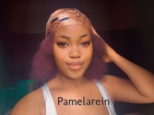 Pamelarein