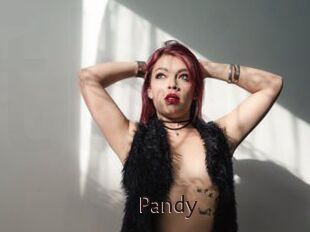 Pandy
