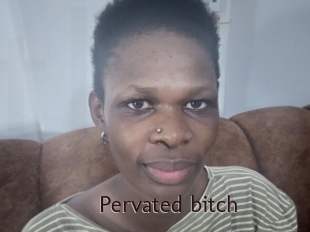 Pervated_bitch