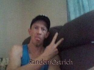 RandomOstrich