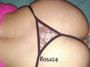 Rosa24