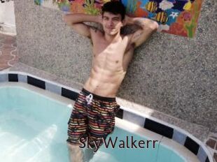 SkyWalkerr