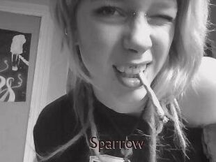 Sparrow