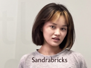 Sandrabricks