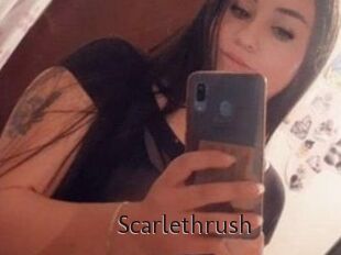 Scarlethrush