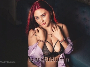 Scarlettblumm