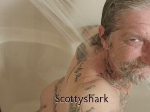 Scottyshark