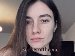 Seekeroftheone