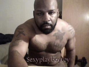 Sexyplayboytoy