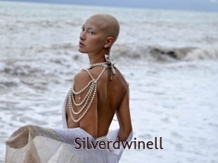 Silverdwinell