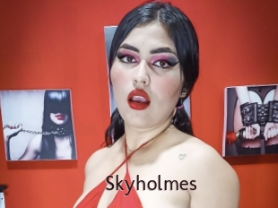 Skyholmes