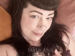 Skylar_bird