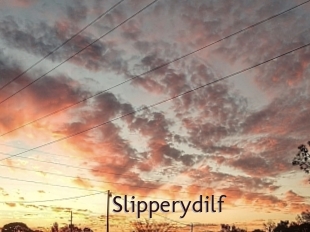 Slipperydilf