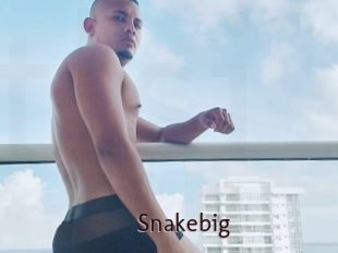 Snakebig